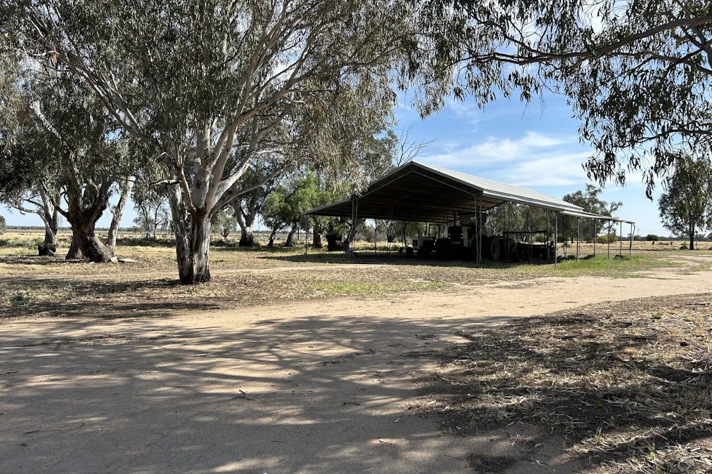 93 Gelam Street, Maude, NSW, 2711 - Image 6