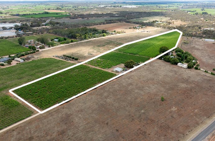 229 Jury Road, Glossop, SA, 5344 - Image 1