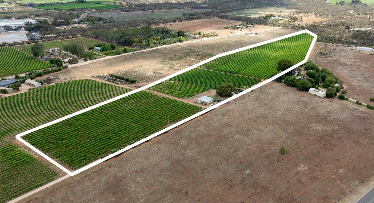 229 Jury Road, Glossop, SA, 5344 - Image 3