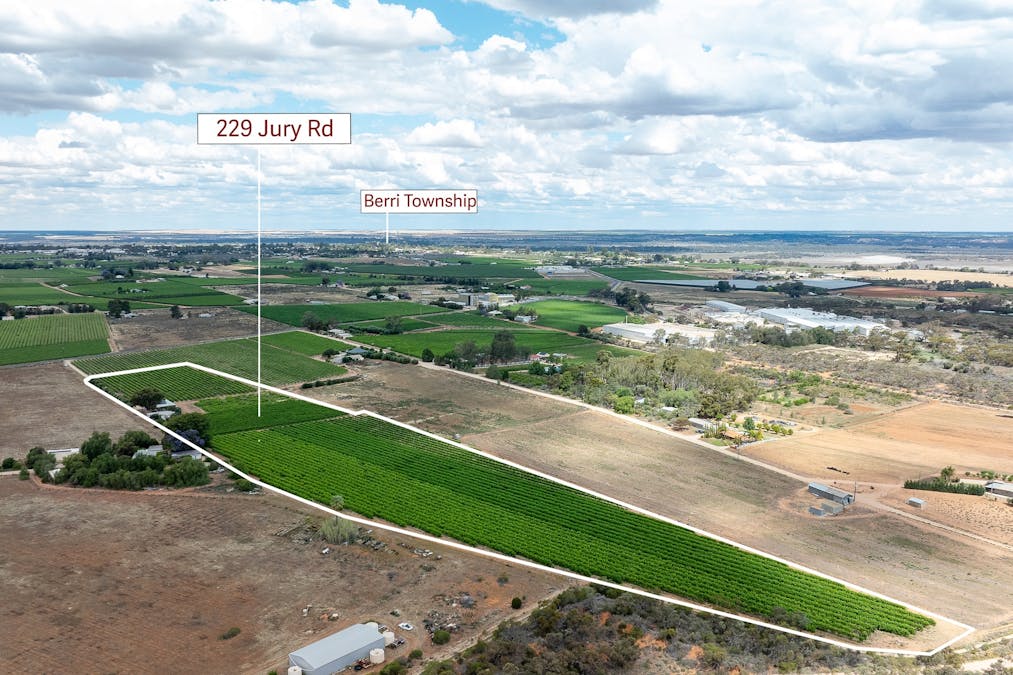 229 Jury Road, Glossop, SA, 5344 - Image 3