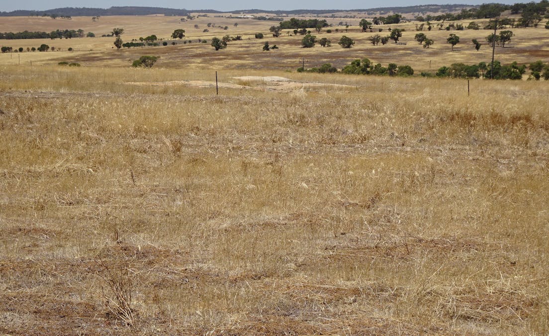 160 Chittleborough Road, Brookton, WA, 6306 - Image 7