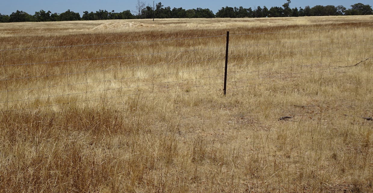 160 Chittleborough Road, Brookton, WA, 6306 - Image 12