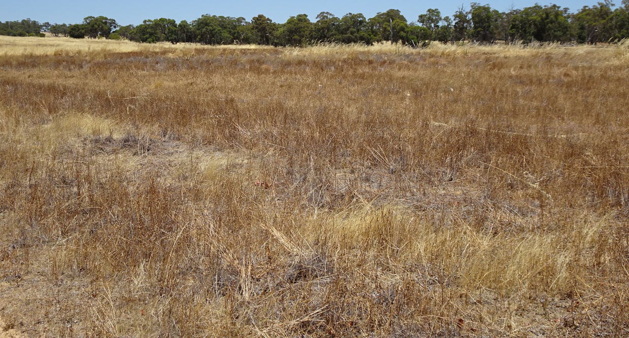 160 Chittleborough Road, Brookton, WA, 6306 - Image 14