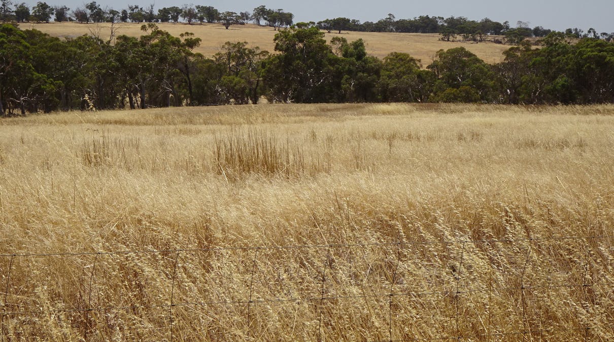 160 Chittleborough Road, Brookton, WA, 6306 - Image 22