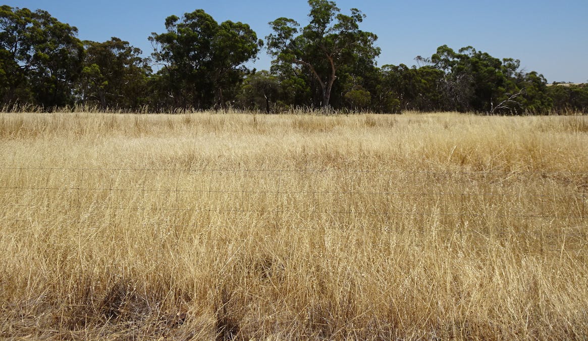 160 Chittleborough Road, Brookton, WA, 6306 - Image 23