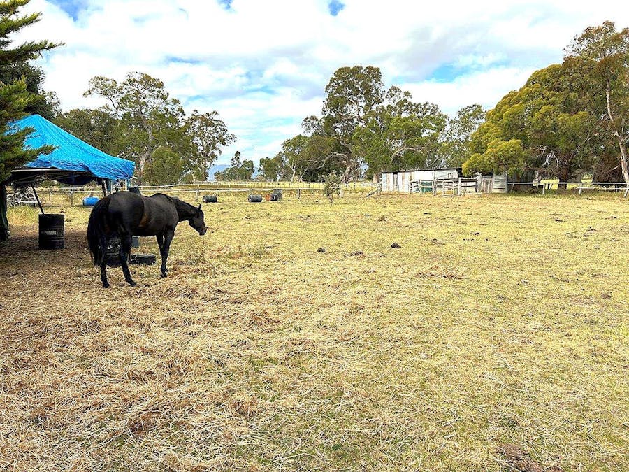 100 C Campbells Road, Cavendish, VIC, 3314 - Image 7