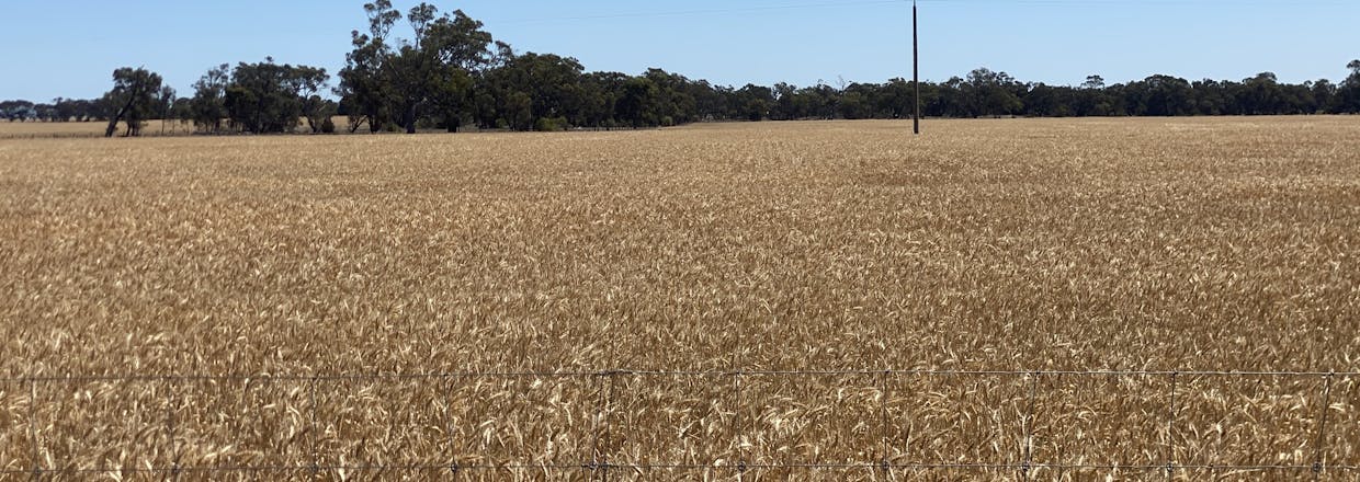Cannum, VIC, 3393 - Image 13