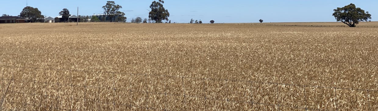 Cannum, VIC, 3393 - Image 14