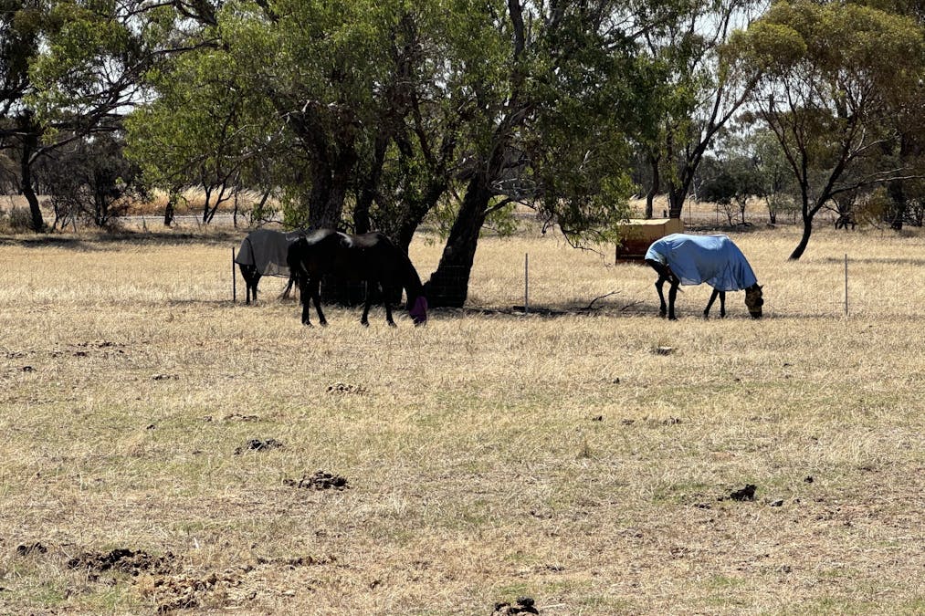 409 Northam-York Road, Muluckine, WA, 6401 - Image 23