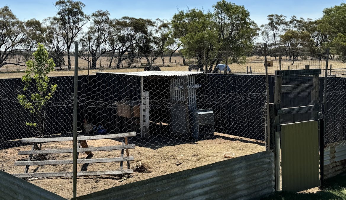 409 Northam-York Road, Muluckine, WA, 6401 - Image 18