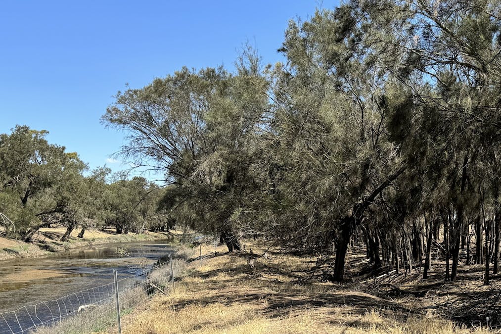 409 Northam-York Road, Muluckine, WA, 6401 - Image 19