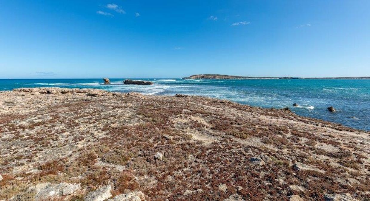 45 Beach Terrace, Elliston, SA, 5670 - Image 15