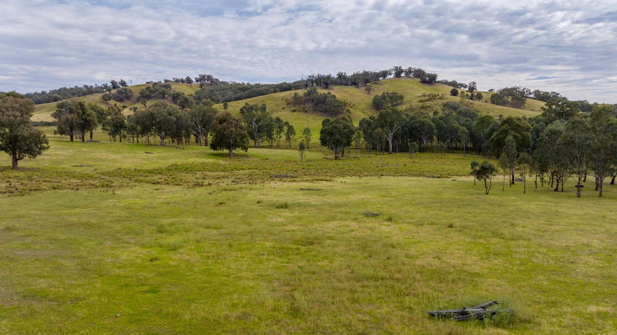 500 Nugents Road, Humula, NSW, 2652 - Image 29