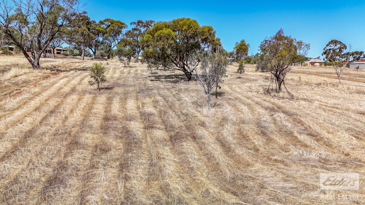 99 Goomalling Road, Northam, WA, 6401 - Image 22