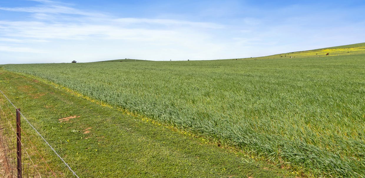 591 Worlds End Highway, Eudunda, SA, 5374 - Image 21
