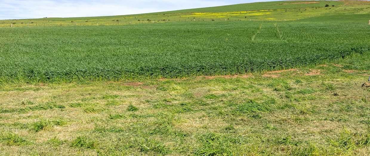 591 Worlds End Highway, Eudunda, SA, 5374 - Image 22