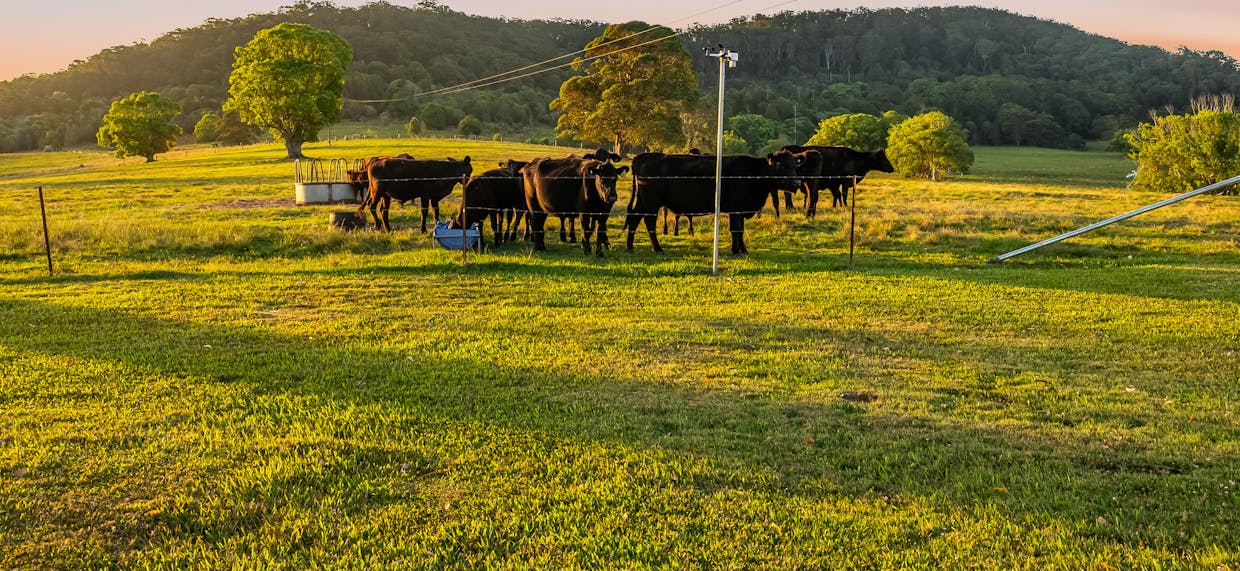 428 Old Bagotville Road, Bagotville, NSW, 2477 - Image 6