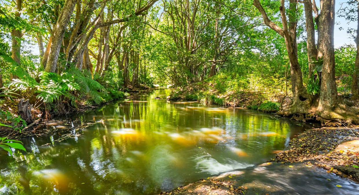 232 Lindendale Road, Wollongbar, NSW, 2477 - Image 2