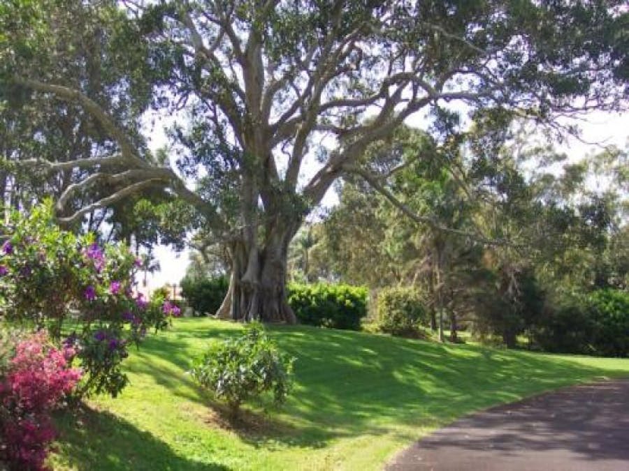 174 Leadbeatters , Alstonville, NSW, 2477 - Image 8