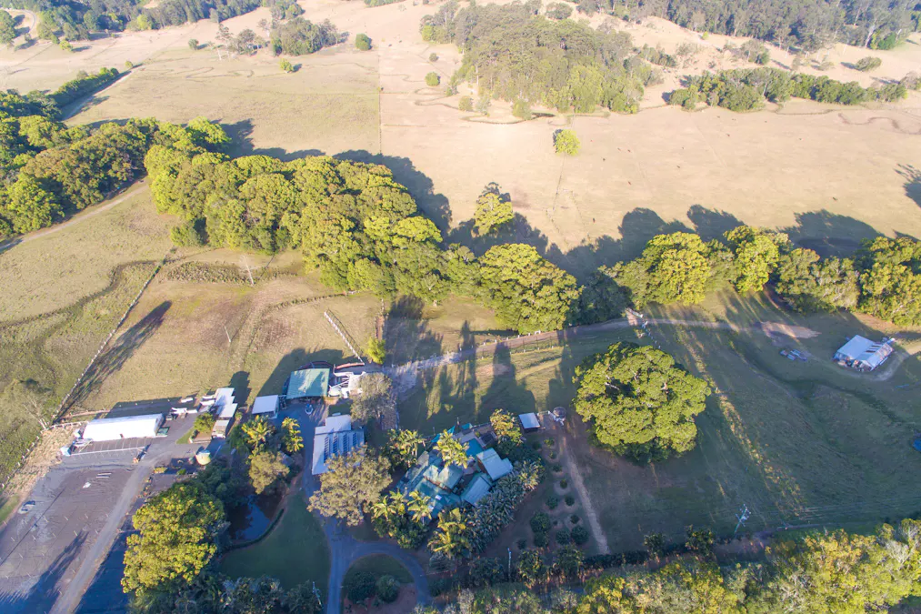 142 Bartletts Lane, Meerschaum Vale, NSW, 2477 - Image 1