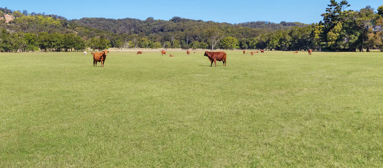 142 Bartletts Lane, Meerschaum Vale, NSW, 2477 - Image 3