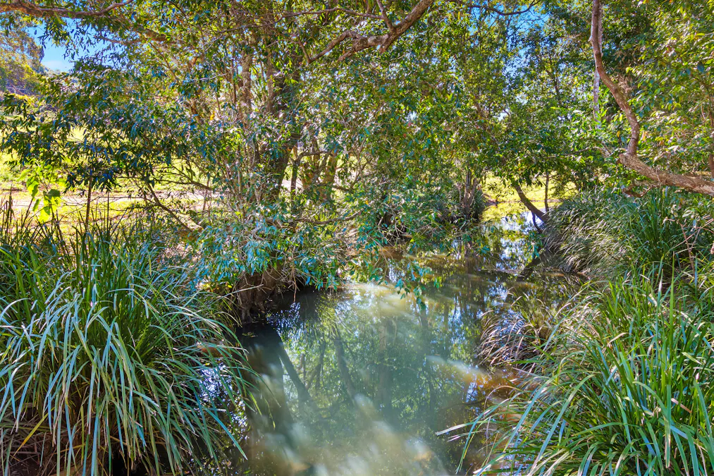 142 Bartletts Lane, Meerschaum Vale, NSW, 2477 - Image 4