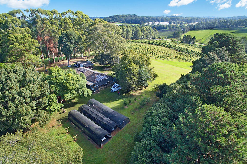 53 McLeans Ridges Road, Wollongbar, NSW, 2477 - Image 1