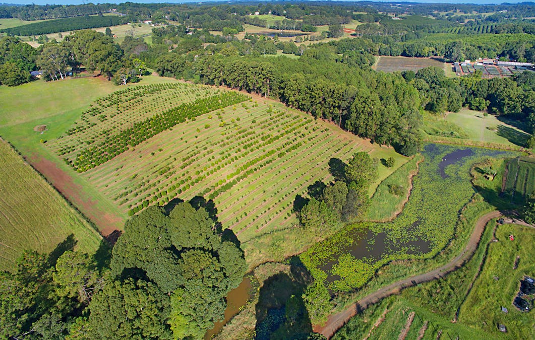 53 McLeans Ridges Road, Wollongbar, NSW, 2477 - Image 2