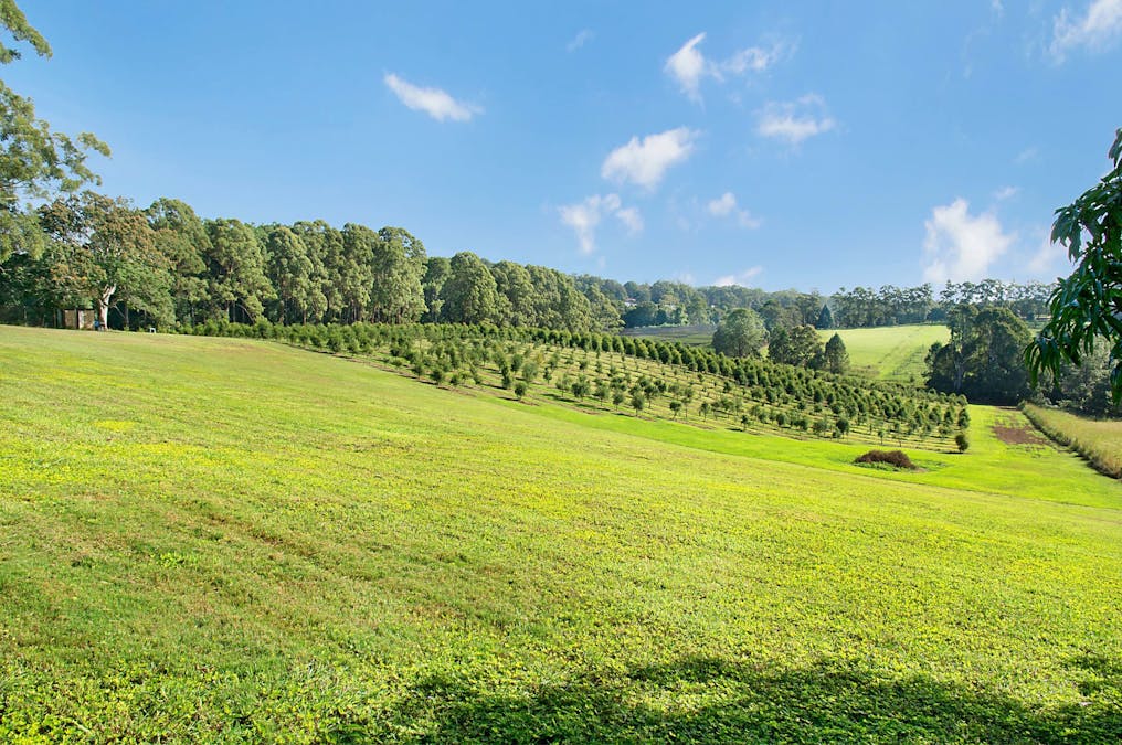53 McLeans Ridges Road, Wollongbar, NSW, 2477 - Image 6