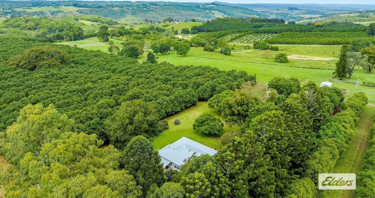Lot 3, 789 Tregeagle Road, Tregeagle, NSW, 2480 - Image 3