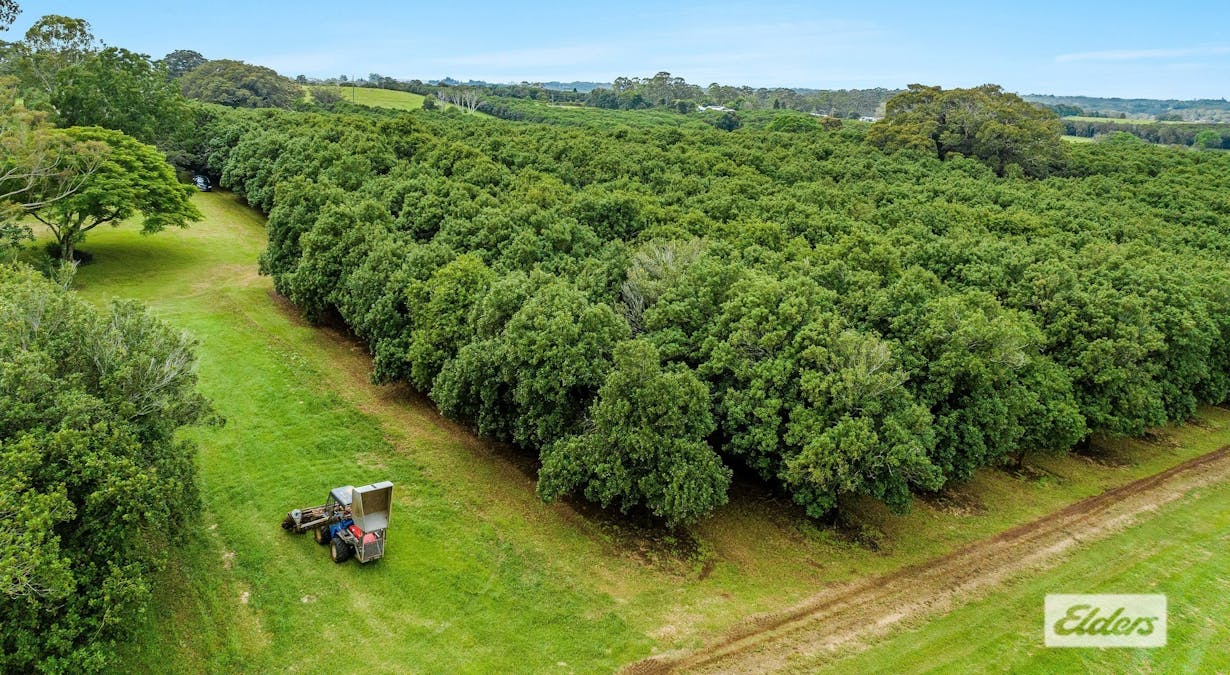 Lot 3, 789 Tregeagle Road, Tregeagle, NSW, 2480 - Image 13