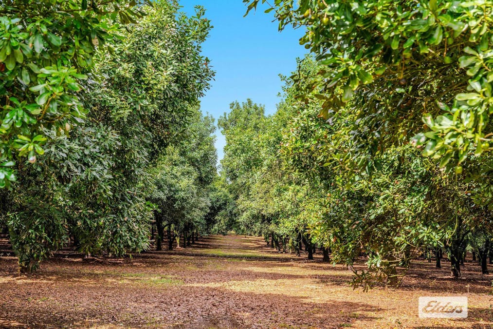 Lot 3, 789 Tregeagle Road, Tregeagle, NSW, 2480 - Image 14