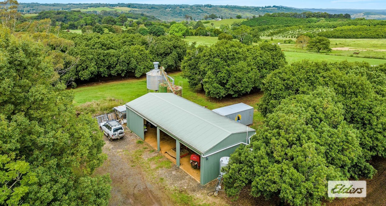 Lot 3, 789 Tregeagle Road, Tregeagle, NSW, 2480 - Image 15