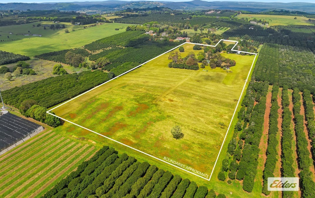 308 Dalwood Road, Dalwood, NSW, 2477 - Image 2