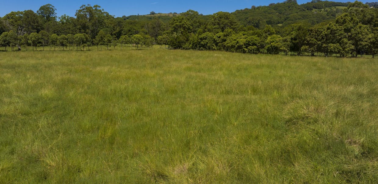 8 Randle Road, Marom Creek, NSW, 2480 - Image 22