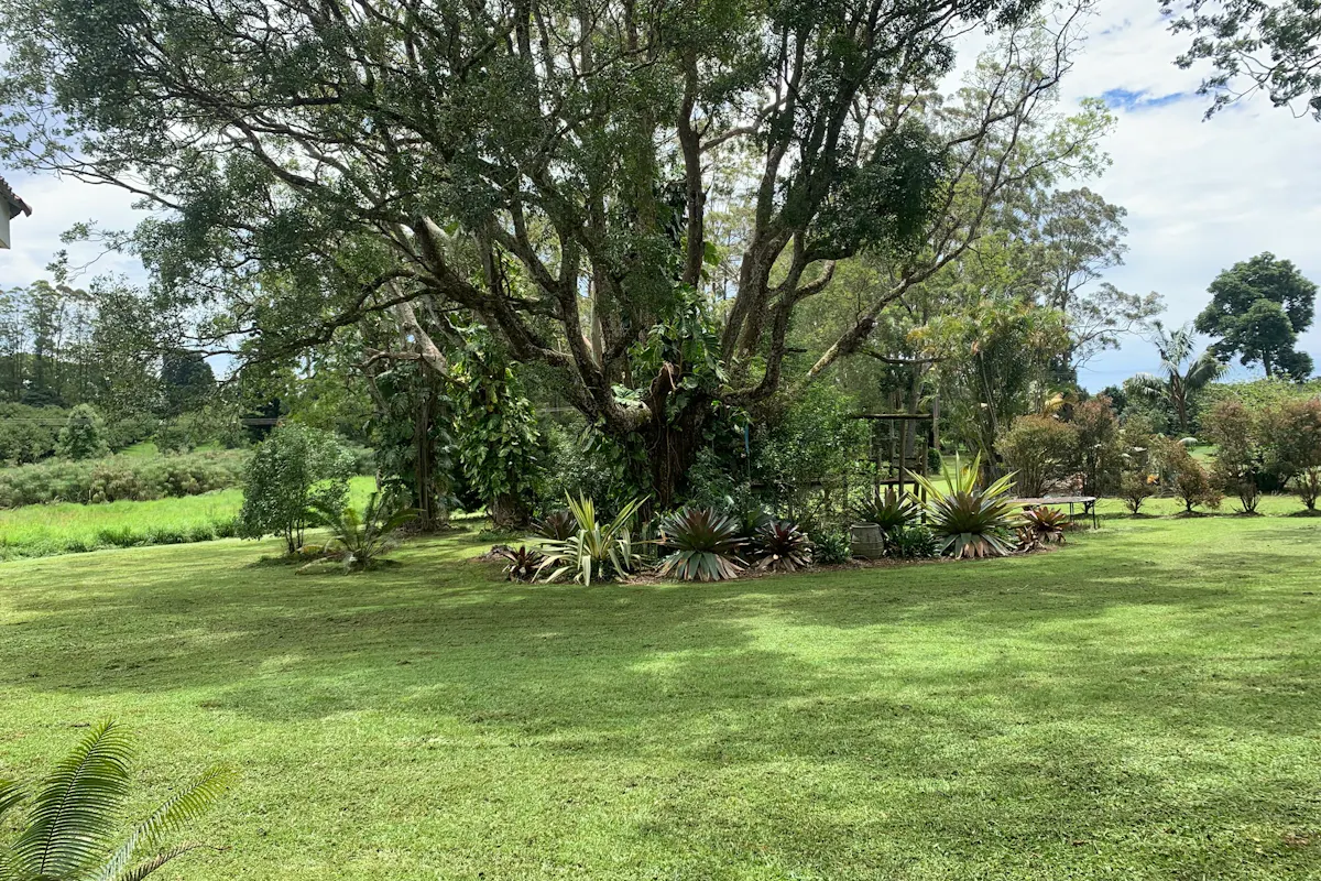 Outstanding Rural Retreat For Lease — photo 12 of 12