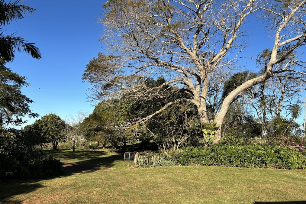 Alstonville, NSW, 2477 - Image 12