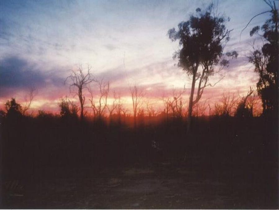 Lot 3516 Reeds Road, Popanyinning, WA, 6309 - Image 2
