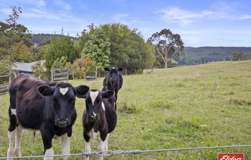 3250 Grand Ridge Road, Allambee South, VIC, 3871 - Image 18