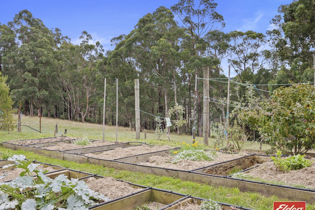 3250 Grand Ridge Road, Allambee South, VIC, 3871 - Image 19