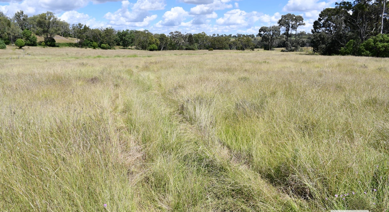 Lot 103 Sternbergs Road, Mount Darry, QLD, 4352 - Image 4
