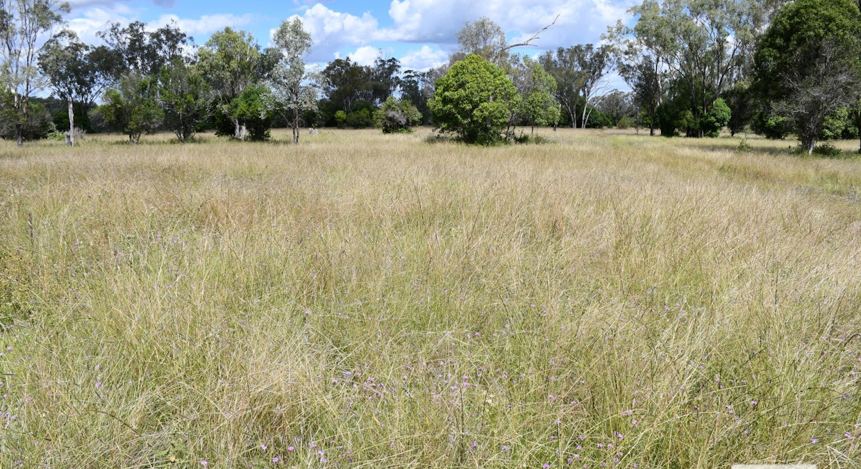 Lot 103 Sternbergs Road, Mount Darry, QLD, 4352 - Image 10