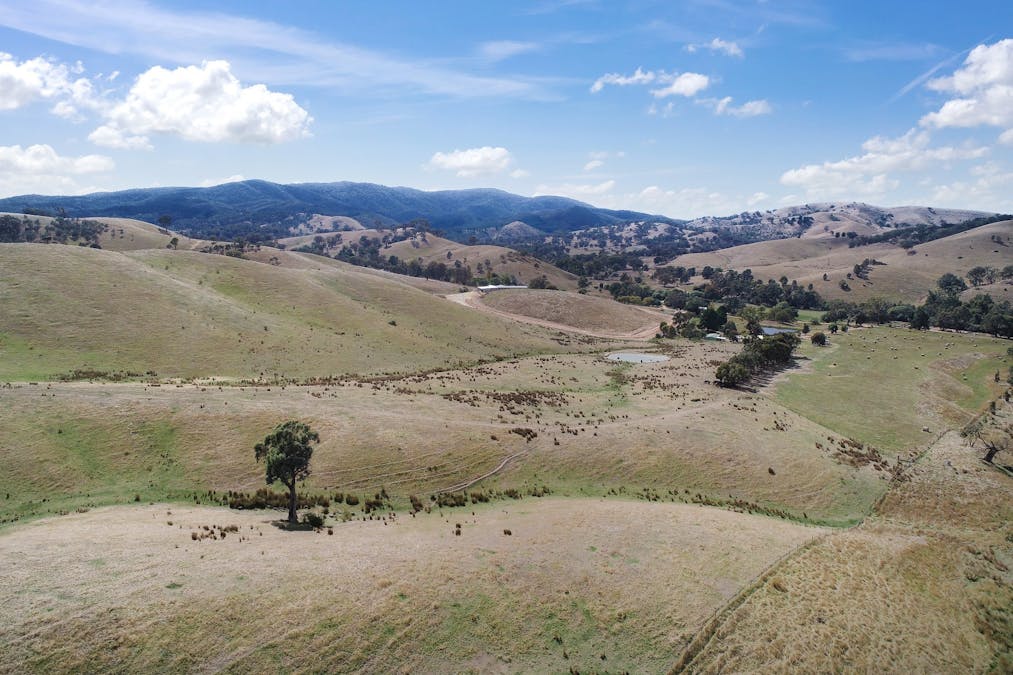 Lot 2/565 Dry Creek Road, Bonnie Doon, VIC, 3720 - Image 15