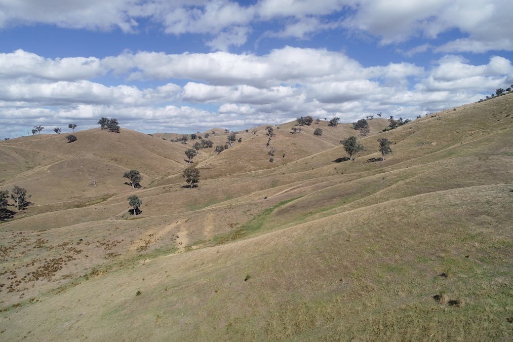 Lot 2/565 Dry Creek Road, Bonnie Doon, VIC, 3720 - Image 19