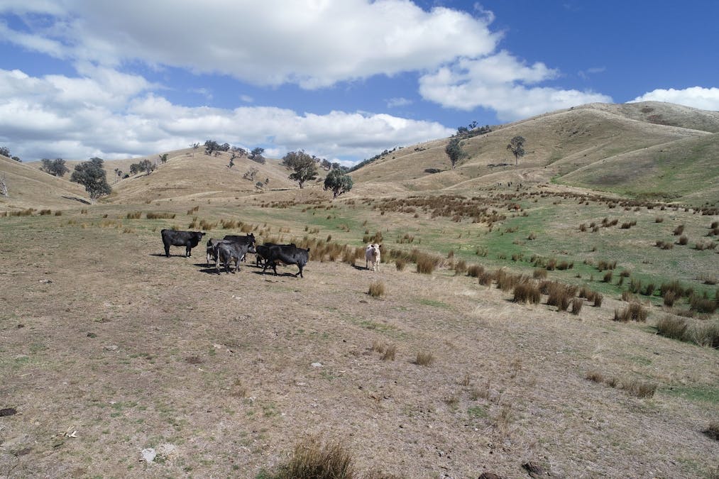 Lot 2/565 Dry Creek Road, Bonnie Doon, VIC, 3720 - Image 14