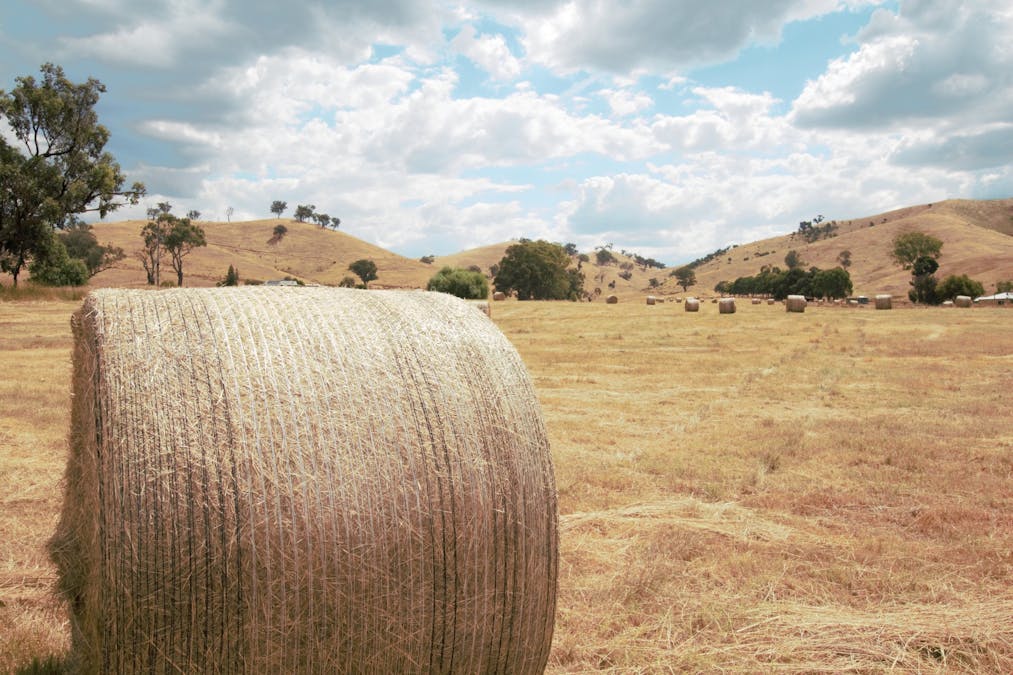 Lot 2/565 Dry Creek Road, Bonnie Doon, VIC, 3720 - Image 3