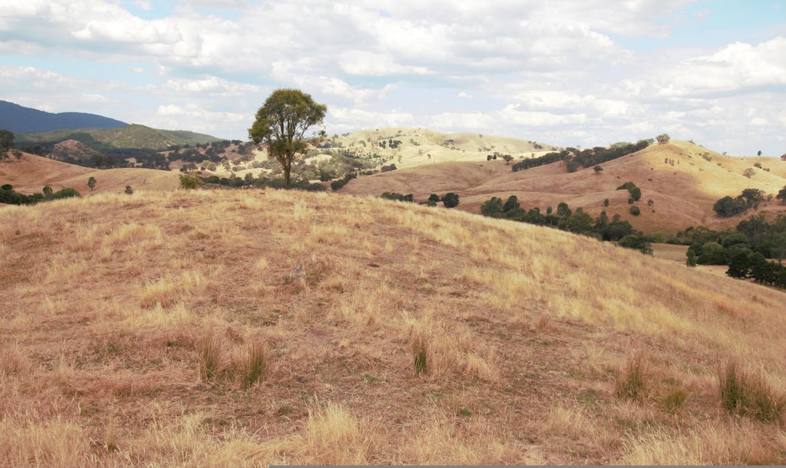 Lot 2/565 Dry Creek Road, Bonnie Doon, VIC, 3720 - Image 11
