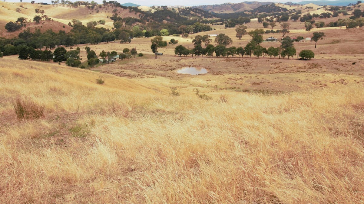 Lot 2/565 Dry Creek Road, Bonnie Doon, VIC, 3720 - Image 8