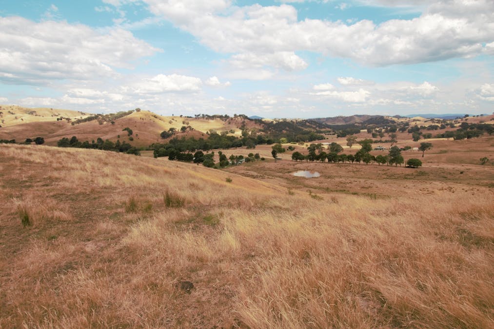 Lot 2/565 Dry Creek Road, Bonnie Doon, VIC, 3720 - Image 9
