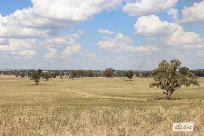 Young, NSW, 2594 - Image 1